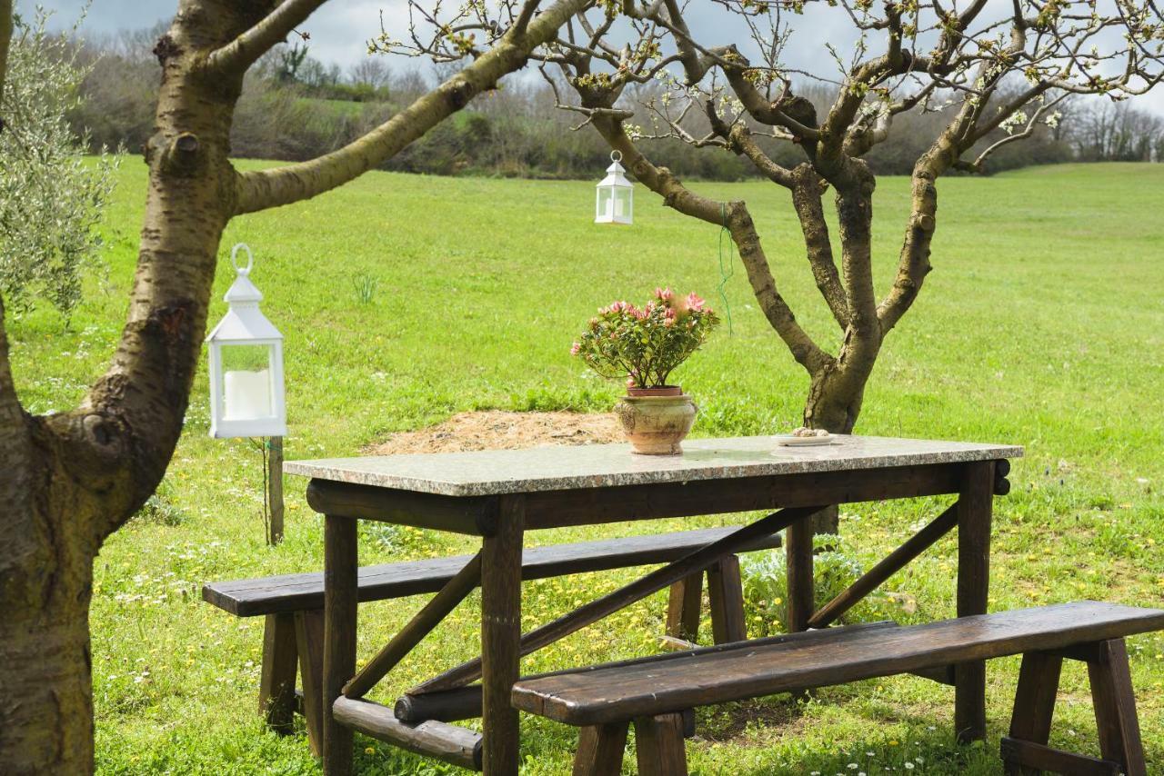הוילה מונטיקיילו Agriturismo Campo Alla Piana מראה חיצוני תמונה