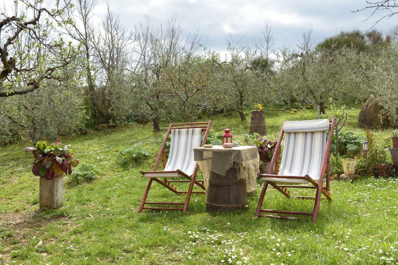 הוילה מונטיקיילו Agriturismo Campo Alla Piana מראה חיצוני תמונה